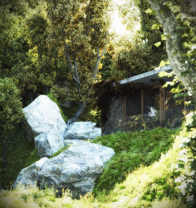 house in forest